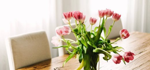 Best Way to Care for Cut Flowers at Home