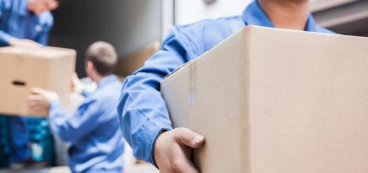 What Sets Apart Professional Packers and Movers from DIY Moving