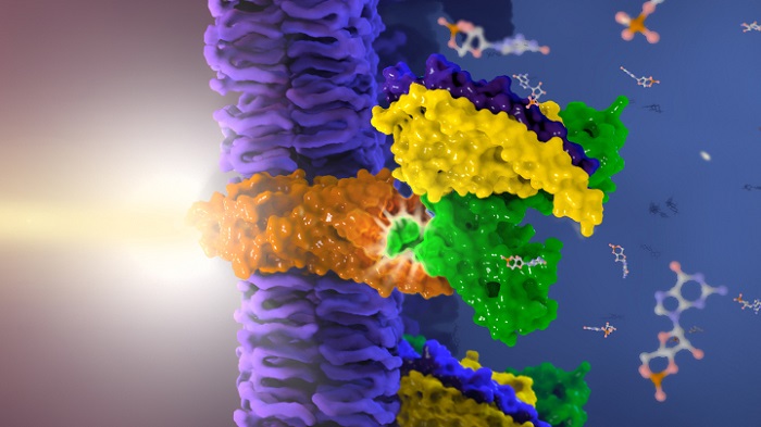 The Current State and Future of GPCR Drug Development Empowered by Cryo-EM