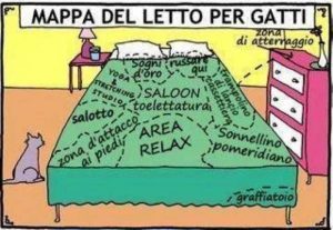 Mappa-del-letto-per-gatti