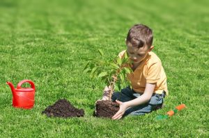 plant-for-the-planet-associazione-bambini-che-piantano-alberi-2