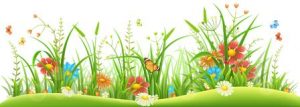 fiori-ed-erba-della-primavera-110452021