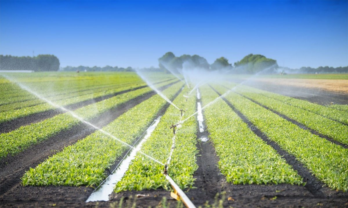 Watering Wisely: Tips For Efficient Sprinkler System Usage