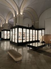 Mostra 'DeVoti Etruschi' riapre il museo Museo Civico di Modena