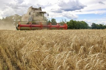 Ucraina: 15 mln dollari da Ue-Fao per sostegno agricoltori