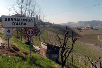Agricoltura: anche in Langa nodo cooperative spurie