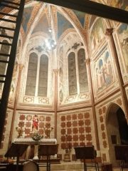 Restaurati affreschi cappella S.Martino in Basilica Assisi