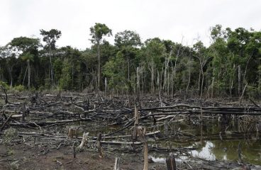 Usa 'pronti a contribuire al Fondo Amazzonia'