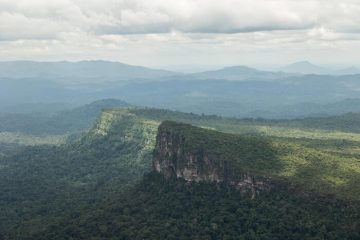 Amazzonia: deforestazione -61% in primo mese di governo Lula