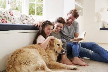 Dogfulness, cosa ci insegna un cane in casa