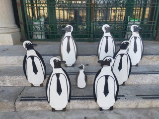 Pinguini davanti all'Aquario, nuova opera del Banksy triestino