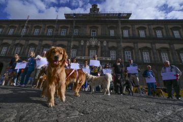 Giardini del Palazzo Reale di Napoli, Tar conferma stop ai cani