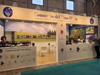 Vinitaly, consorzio Vino Orcia doc raddoppia spazio in fiera