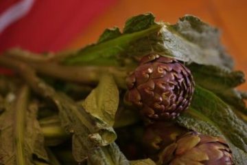 Festival del Carciofo Romanesco, al via la terza edizione