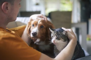 Cosa dicono Fido e Micio? Prova col pet translator