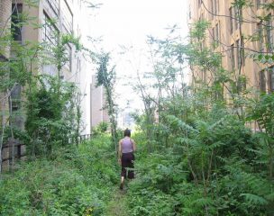 Da ferrovia abbandonata a parco, 15 anni fa nasceva l'High Line