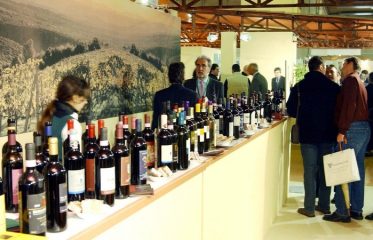 Uiv-Vinitaly: riparte export vino (+5,8) ma si sgonfierà presto