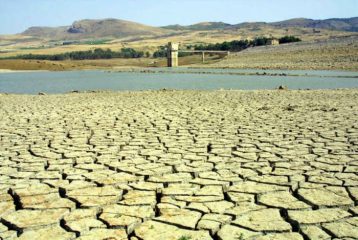 Coldiretti, -70% grano è dramma siccità al Sud e nelle Isole