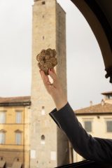 Città di Castello, conto alla rovescia per il tartufo bianco