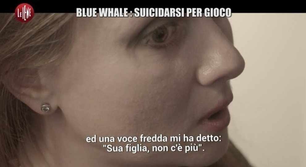 2440842_1818_blue_whale_servizio_leiene