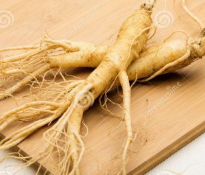 foto ginseng