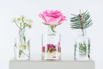 Aroma detox, un riavvio per il sistema olfattivo