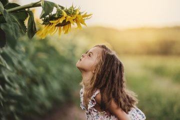 Xenoormesi, piante stressate e cosa possiamo prendere da loro