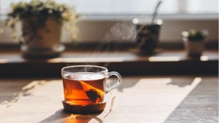 Tè, benefici per la salute e danni. Cosa succede se bevi il tè ogni giorno.