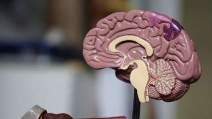 In che modo lo sport influisce sul cervello, quale sport è migliore per il cervello.