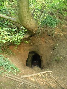 Entrance_to_the_Caynton_Hall_cave_-_grotto_-_geograph.org.uk_-_1391862