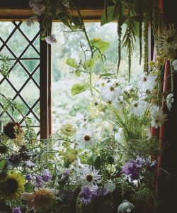 finestra fiorita milly proust