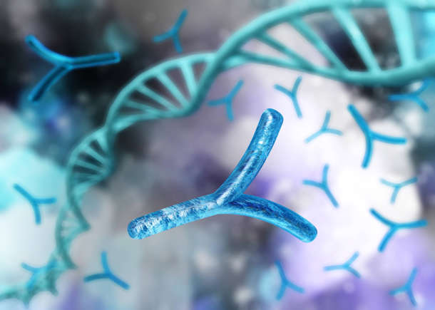Il cromosoma Y sta scomparendo: cosa ne sarà degli uomini?