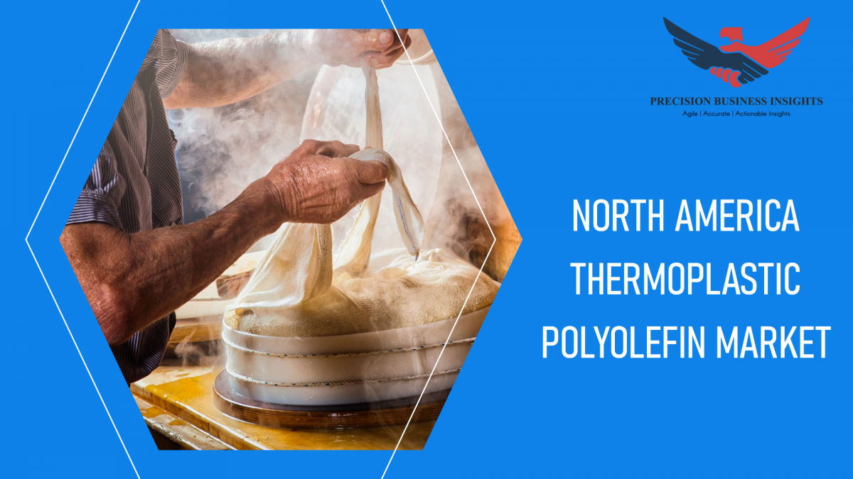 North America Thermoplastic Polyolefin Market Dynamics and Key Developments 2024