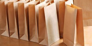 Paper Shopping Bag Manufacturing Plant