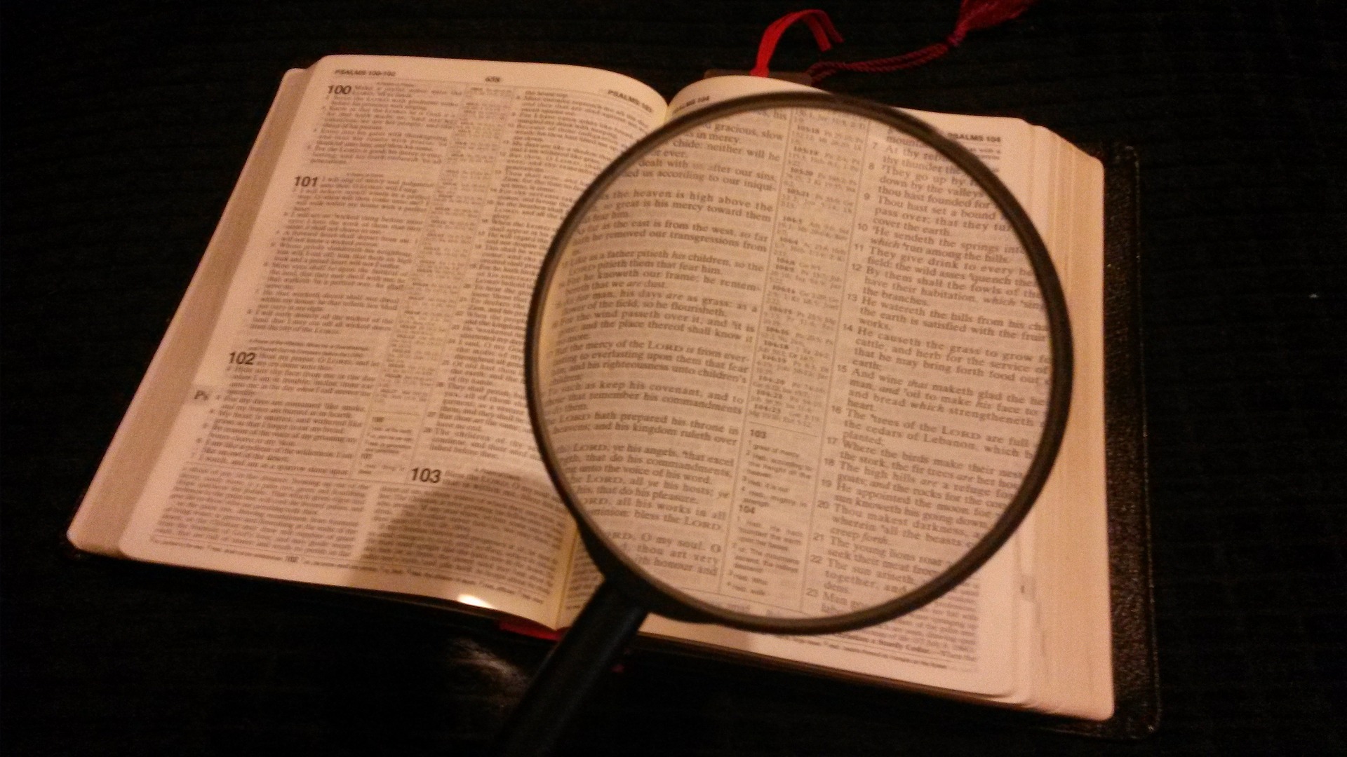 La Bibbia è solo una testimonianza delle due fasi dell’opera di Dio nell’Età della Legge e nell’Età della Grazia; ma non della Sua opera intera
