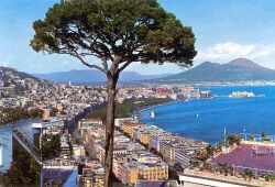 Panorama di Napoli 1