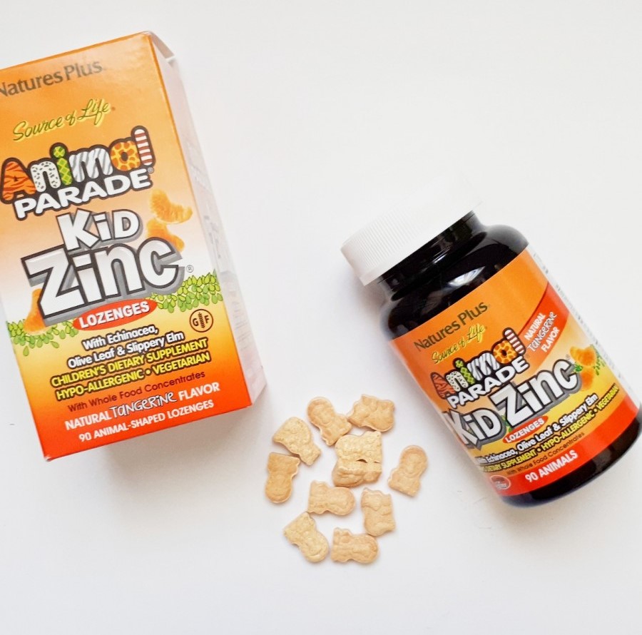 Zinc For Kids – Three Essential Nutritious Components For Healthy Brain Development