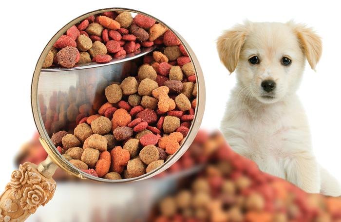 UAE Pet Food Market Outlook 2024, Share, Size, Key Players and Forecast By 2032