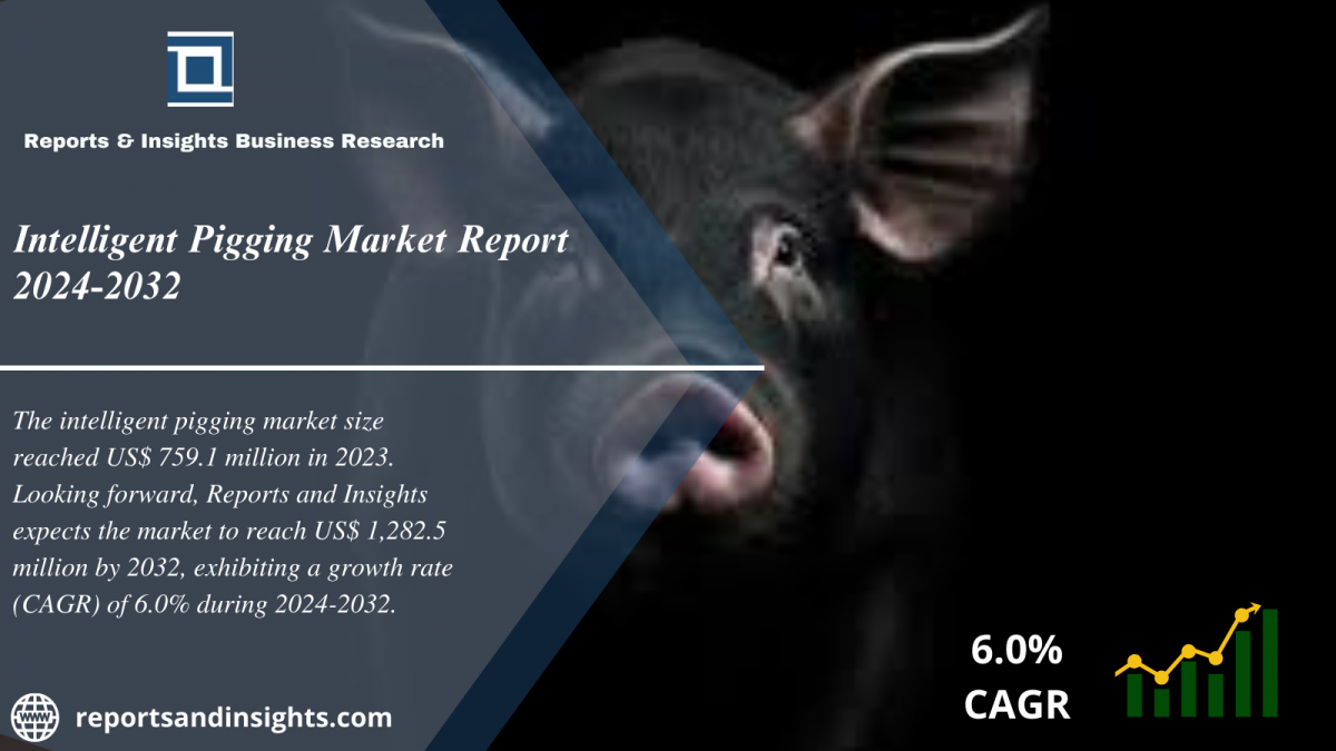 Intelligent Pigging Market 2024 to 2032: Share, Size, Growth, Industry Share, Trends and Opportunities
