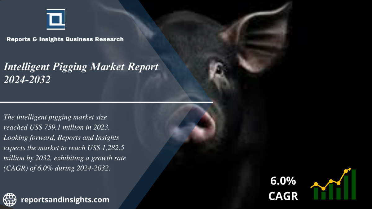 Intelligent Pigging Market 2024 to 2032: Share, Size, Trends, Analysis, and Research Report