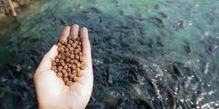 Aquafeed Market Share, Size and Forecast 2023-2028