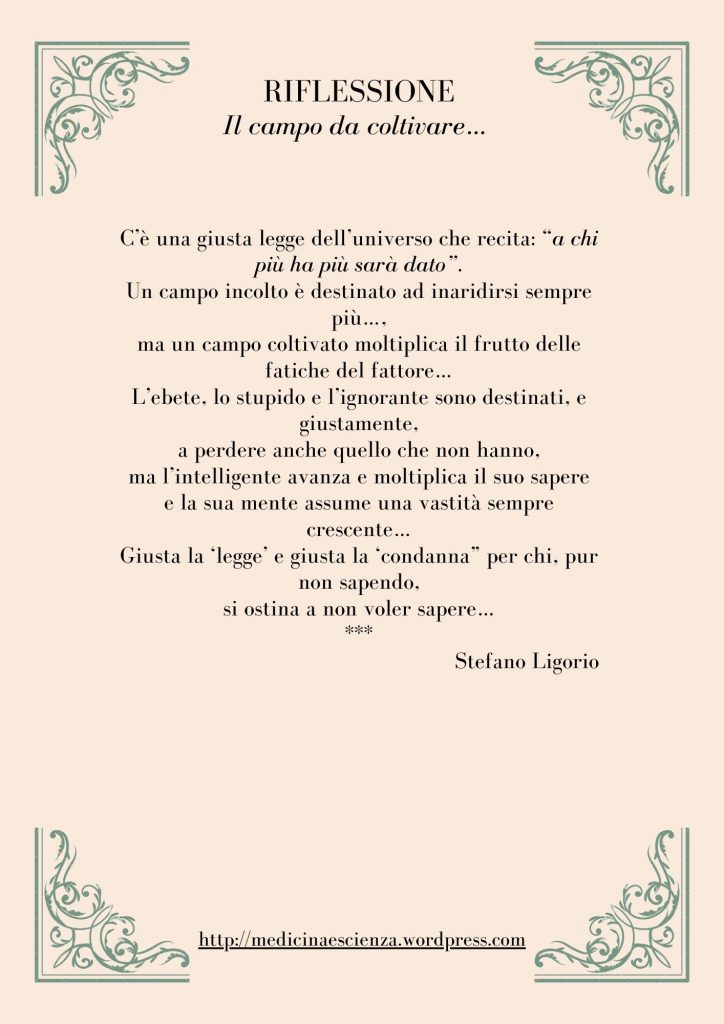 Riflessioni di Stefano Ligorio - Il campo da coltivare...