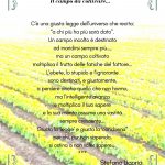 Riflessioni di Stefano Ligorio – Il campo da coltivare…