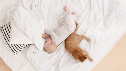 Cosa determina la qualità del sonno dei bambini