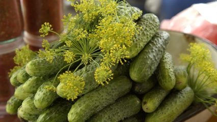 Com'è delizioso e salutare raccogliere per l'inverno.