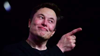Elon Musk ha tagliato con successo un maiale. Gente in fila