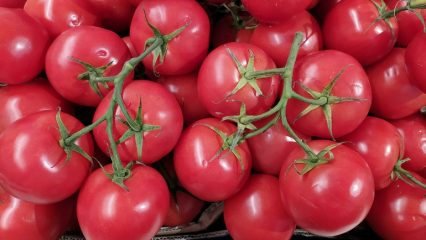 Pomodori, quali sono i loro benefici e le vitamine, come scegliere quello giusto nella stagione fredda e dove conservare le verdure.