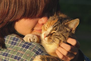 Cosa puoi ottenere da un gatto