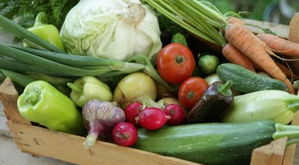 dieta vegetale. Menù della settimana