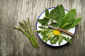 Piante selvatiche, l'ingrediente segreto